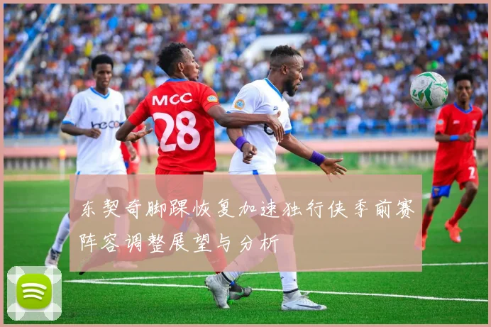 东契奇脚踝恢复加速独行侠季前赛阵容调整展望与分析